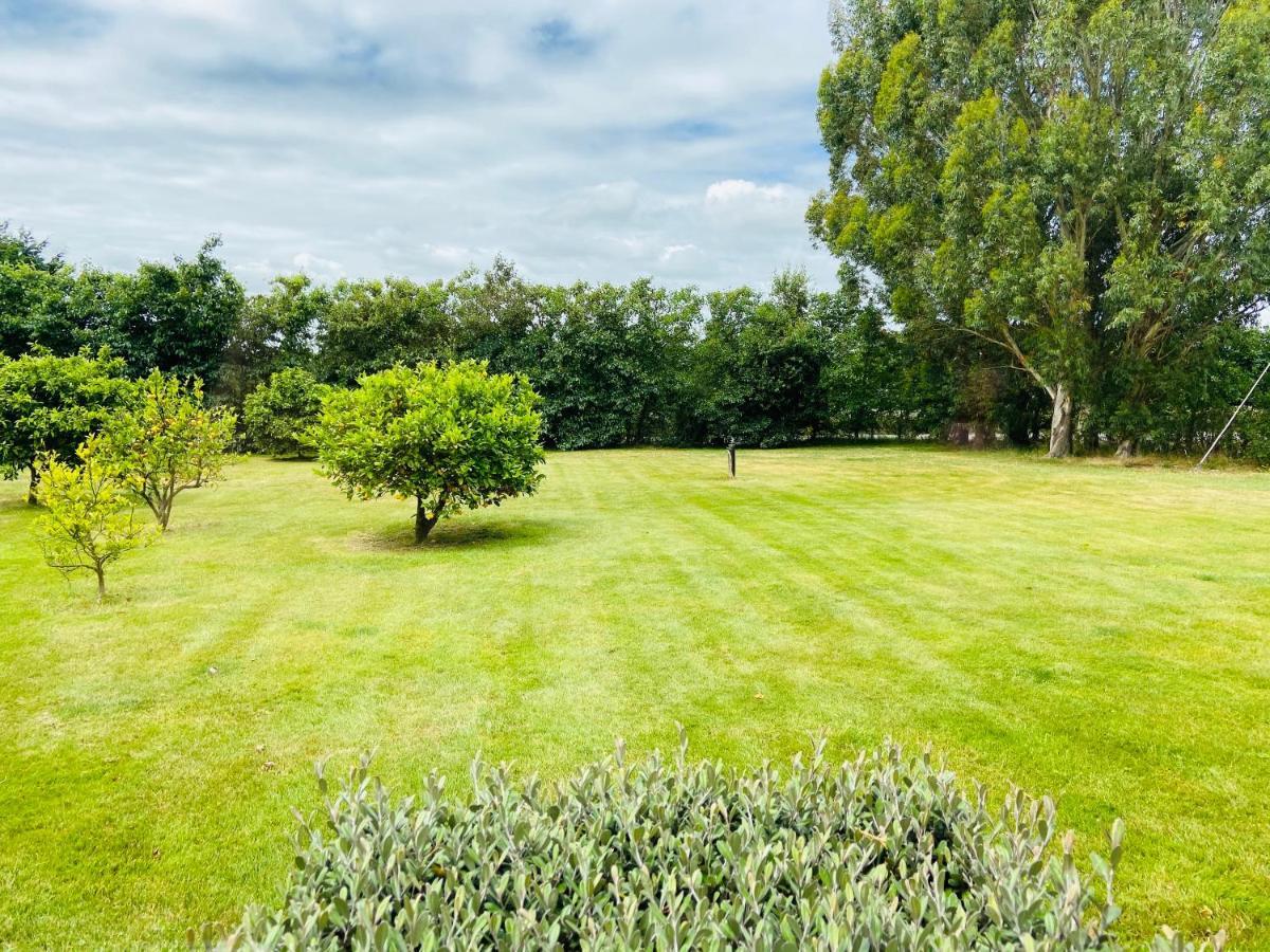 Chateau Le Cross Apartment Martinborough Bagian luar foto